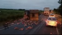 Grave acidente entre caçamba carregada de ossos e carreta é registrado na BR-364 - Foto: Reprodução
